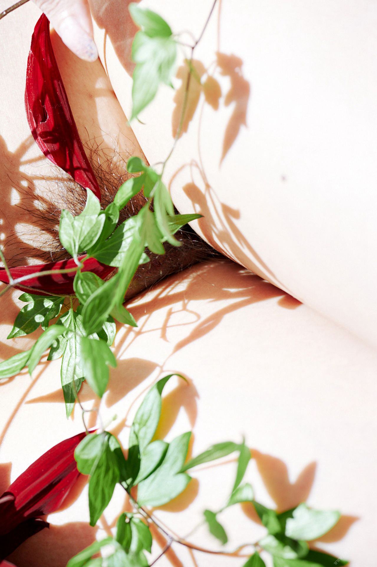 Ayaka Tomoda åç°å½©ä¹é¦, å¨åãã¹ããã¸ã¿ã«åçé ãè±å­ã